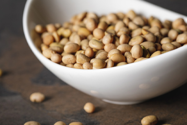 soybeans used to produce Bioheat® heating oil