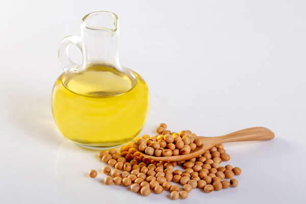 soy beans used for biodiesel production