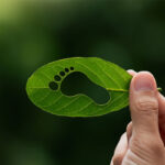 leaf with foot depicting carbon footprint