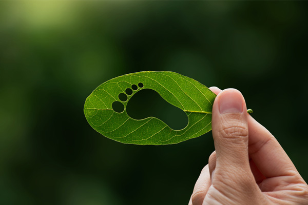 leaf with foot depicting carbon footprint